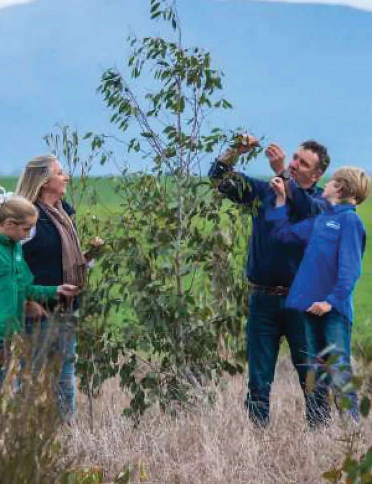 Native trees and waterway protection
