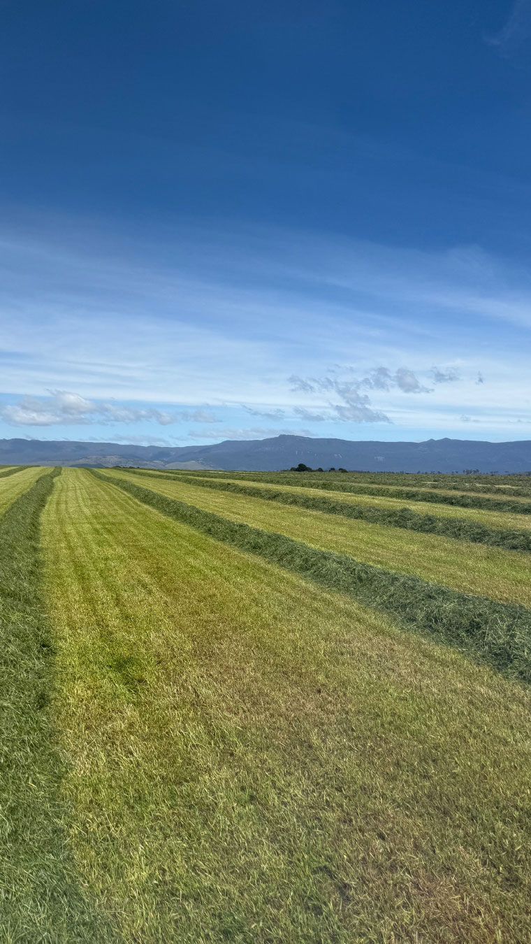 Woodbourn Lamb Production Location